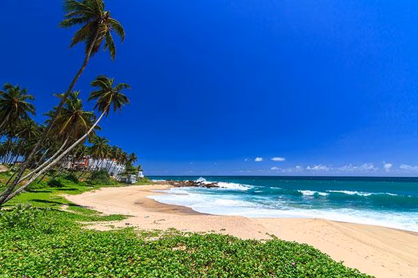 Die wohlgehüteten Geheimnisse von Sri Lanka