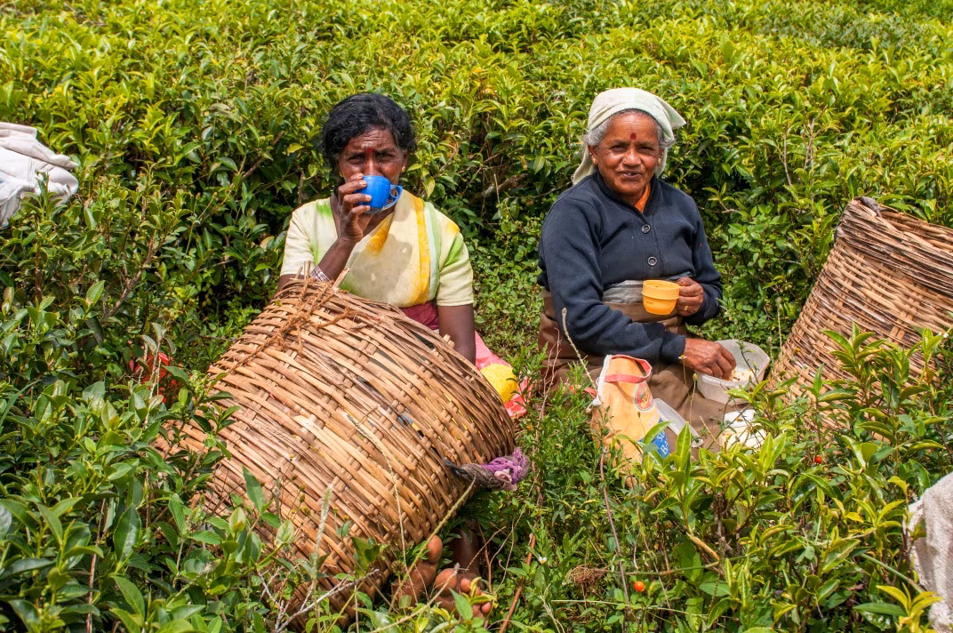 Sri Lanka als Familie
