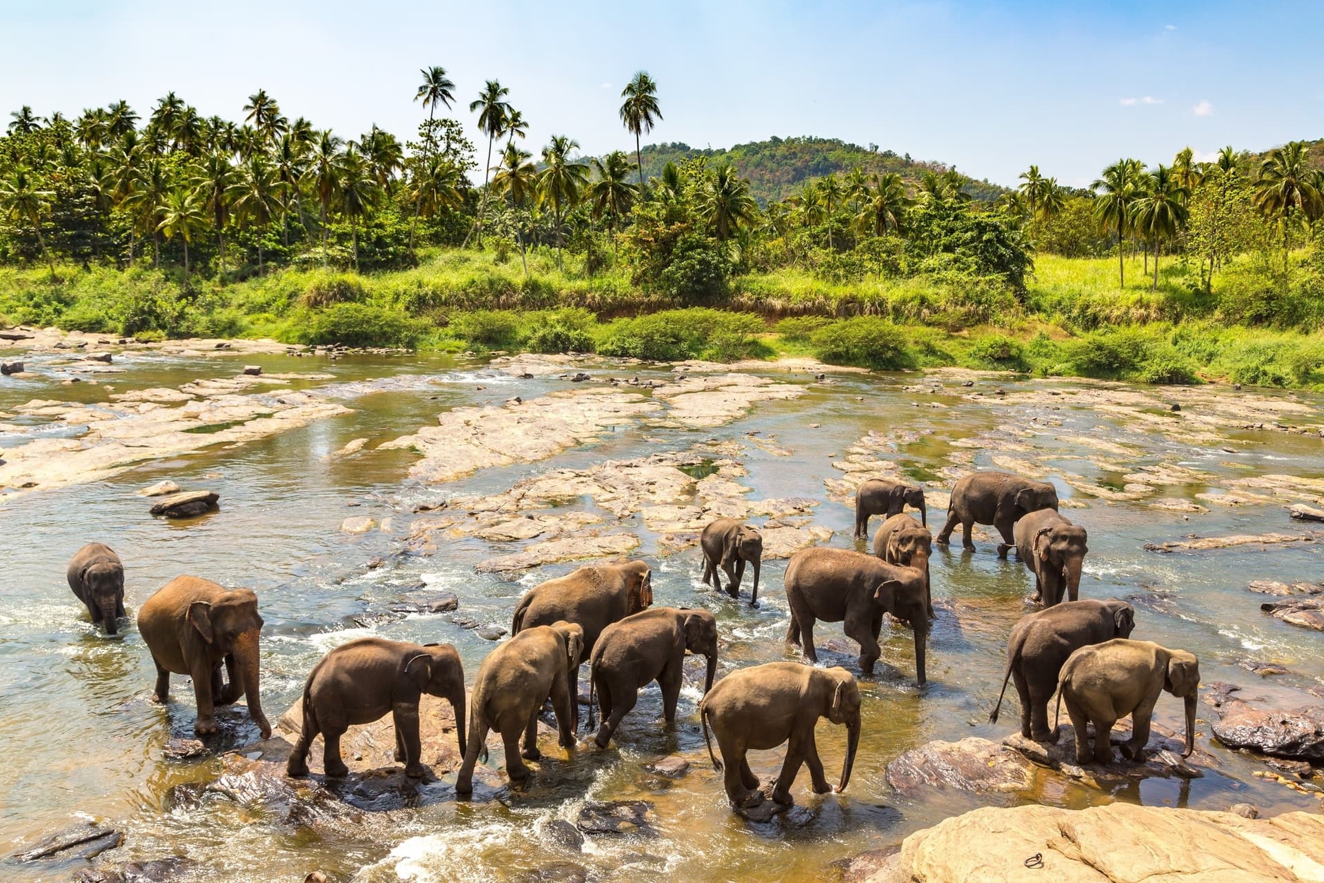 Die Schönheiten Sri Lankas im Familienurlaub